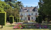 Tour Wandern Les Ormes - les Ormes - GR48 GR655 Poizay PM - 9.4km 100m 2h05 - 2024 07 18 - Photo 7