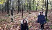 Trail Walking Saint-Ghislain - bois de  Baudour  - Photo 2