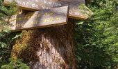 Tour Wandern Nantua - nantua les monts d ain  - Photo 2
