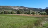 Excursión Senderismo Comps-sur-Artuby - Comps-sur-Artuby     Le Mauvais Pont et les Chapelles - Photo 12