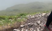 Trail Walking Saint-Pierre - Prêcheurs  ailerons pellée le chinois  - Photo 11