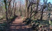 Tocht Stappen Santa Pau - la Garrotxa : volcan Santa Margarida et volcan de Croscat - Photo 16