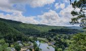 Tour Wandern Bouillon - rando rochehaut 18/06/2020 - Photo 3