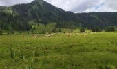 Tour Wandern Untertauern - Joahness - Photo 2