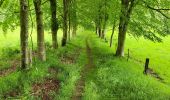Tocht Stappen Houffalize - Engreux 080625 - Photo 11