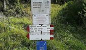 Tocht Te voet Tarvisio - (SI A09) Bivio Rifugio Pellarini - Cave del Predil - Sella Nevea Rifugio Julia - Photo 7