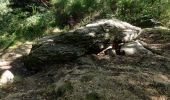 Percorso A piedi Saint-Nectaire - Les Grottes de Châteauneuf - Photo 3