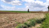 Trail Walking Honnelles - Promenade du caillou qui bique  - Photo 2