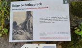 Randonnée Marche Metzeral - Sentier historique - Mittlach - Fischboedle - Photo 1