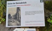 Percorso Marcia Metzeral - Sentier historique - Mittlach - Fischboedle - Photo 1