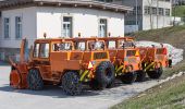 Percorso A piedi Andermatt - Blumen- und Lawinenlehrpfad Chilchenberg - Photo 10