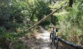 Percorso Mountainbike Saint-Priest - Saint-Priest Cyclisme sur route - Photo 8