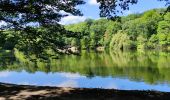 Excursión Senderismo Clamart - Ballade digestive autour des étangs de la forêt de Meudon  - Photo 4