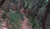 Tour Wandern Bagnols-en-Forêt - Gorges du Blavet au col de la pierre du coucou - Photo 6