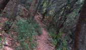 Excursión Senderismo Bagnols-en-Forêt - Gorges du Blavet au col de la pierre du coucou - Photo 6