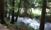 Tour Wandern Hohenfels - Houffalize 270622 - Photo 9