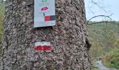 Trail Walking Waimes - RS 2024_10 Botrange  - Photo 15