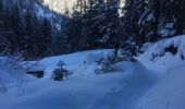 Randonnée Raquettes à neige Orsières - Champex Lac - Arpette - Champex Lac - Photo 17