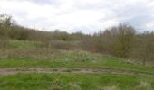 Percorso A piedi Walsall - Forest of Mercia Way - Photo 2