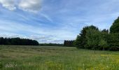 Tour Wandern Wirten - Trou des fées, Montauban & Fourneau Marchand - Photo 4