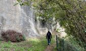 Tour Wandern Rupit i Pruit - Passage du Carreguell Rupit  - Photo 8