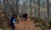 Trail Walking Bourdeaux - Chemin des protestants- Bourdaux - Photo 12