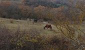 Trail Walking Bourdeaux - col de Boutière 1 - Photo 13