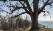 Trail On foot Scandiano - Anello di Ca' de Caroli - Photo 2