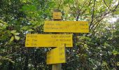 Trail Walking Orcival - La chaine des Puys - Photo 8