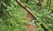 Trail Walking Saint-Denis - Tour du Pic Adam - Photo 5