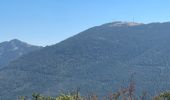 Randonnée Marche Bargème - Bargème ; Tour du Brouis - Photo 3