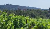 Excursión Senderismo Bize-Minervois - TBG - ACAD - Bize-Minervois - Photo 9