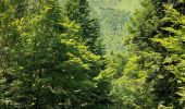 Tour Wandern Le Falgoux - Franconèche- Gr400-chemin des Italiens bis - Photo 8