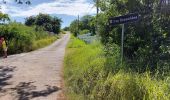 Excursión Senderismo Le Vauclin - Boucle Macabou via Morne Flambeau - Photo 7