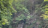 Trail Walking Chiny - Chiny le long de la Semois - Photo 2