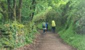 Excursión Senderismo Sarria - Sarria Portomarin  - Photo 5