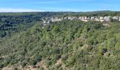 Tour Wandern La Caunette - La Caunette  - Photo 3