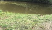 Trail Walking Sainte-Anne - Belle mare  - Photo 5