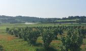 Randonnée Marche Acquapendente - CR_Francigena_DK_47_Acquapendente_Bolsena_20230530 - Photo 4