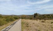 Tour Wandern Opoul-Périllos - cauna roja . perillos . château d´opoul  - Photo 10