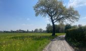 Randonnée Marche Fosses-la-Ville - Tour des lacs de Bambois - Photo 5