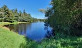 Tour Wandern La Chaise-Dieu - Sentier du Serpent d'Or  - Photo 12