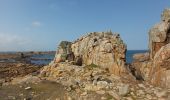 Excursión Senderismo Penvénan - Port blanc - Pointe du Château  - Photo 9