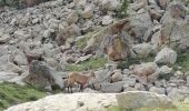 Trail Walking Saint-Martin-Vésubie - Circuit des Lacs des bessons par le collet des lacs des Bessons - Photo 1