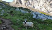 Percorso Marcia La Clusaz - ARAVIS: LES CONFINS - LAC DE TARDEVANT - POINTE DE TARDEVANT - Photo 20