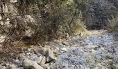 Trail Walking Sablet - Les crêtes de saint Amant  - Photo 2