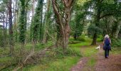 Tocht Te voet Somerset West and Taunton - Dunkery and Horner Wood circular walk - Photo 5