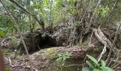 Excursión  Le Diamant - Petit parcours dizac longuet anse cafard  - Photo 5