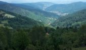 Trail Walking Linthal - Linthal boucle par col de lauchen - Photo 4