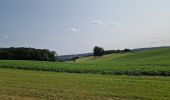 Excursión Senderismo Genappe - en passant par le bois ballon et les vignes du château de Bousval. - Photo 4